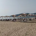 Sevi *